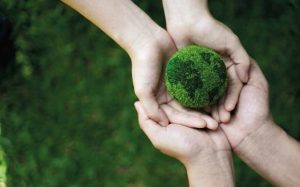 committed to sustainability